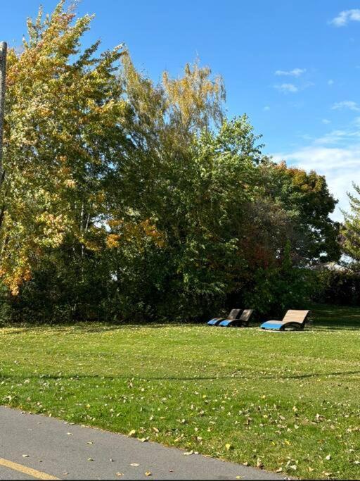 Cozy Spacious Work Friendly Lotus With Garden View High Speed Free Wi Fi And Parking Adjacent To Downtown Montreal Exteriér fotografie